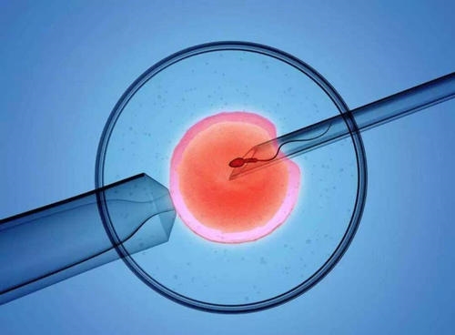 体外受精辅助胚胎孵化的具体方法包括。