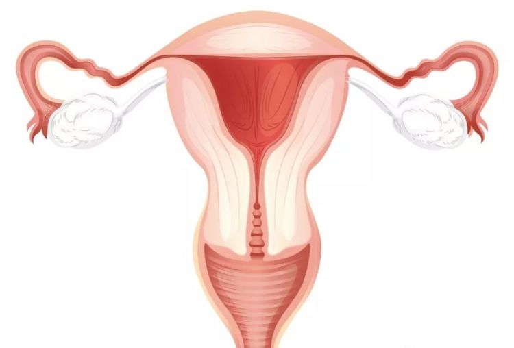 漳州49岁合法助孕-患有多囊卵巢的29岁女性可以做试管婴儿吗？做第三代试管婴儿的成功率高吗？