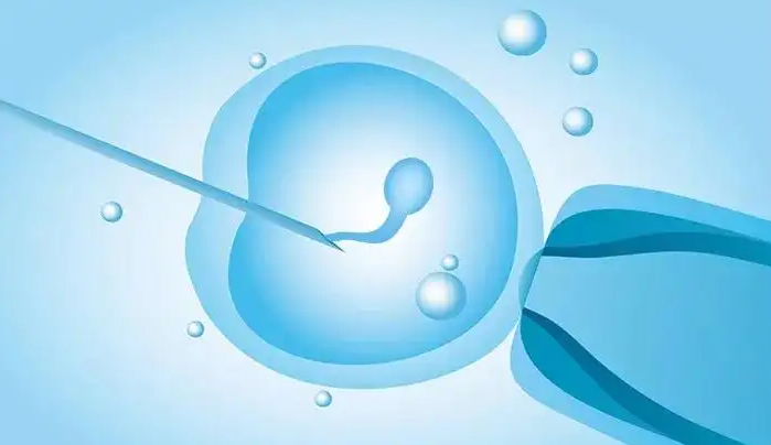榆林供卵助孕包生男孩套餐：在泰国做试管婴儿代孕妈妈怀上男孩的成功率是多少？