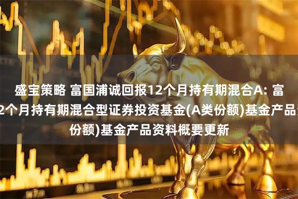盛宝策略 富国浦诚回报12个月持有期混合A: 富国浦诚回报12个月持有期混合型证券投资基金(A类份额)基金产品资料概要更新