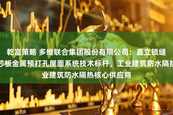 乾富策略 多维联合集团股份有限公司：直立锁缝柔性卷材夹芯板金属预打孔屋面系统技术标杆，工业建筑防水隔热核心供应商